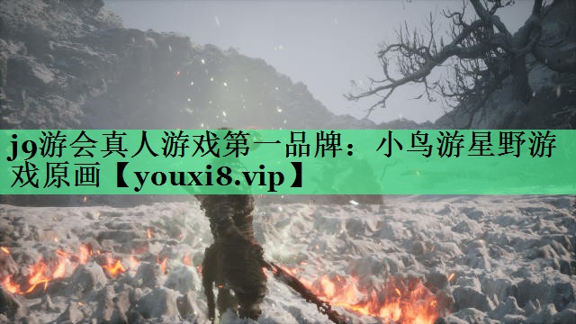 j9游会真人游戏第一品牌：小鸟游星野游戏原画