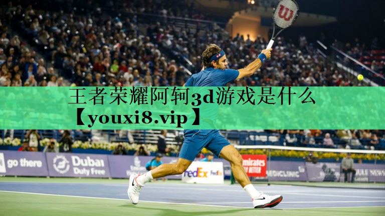 王者荣耀阿轲3d游戏是什么