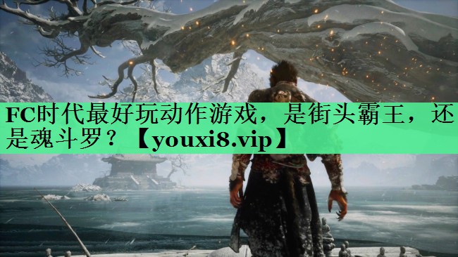 FC时代最好玩动作游戏，是街头霸王，还是魂斗罗？