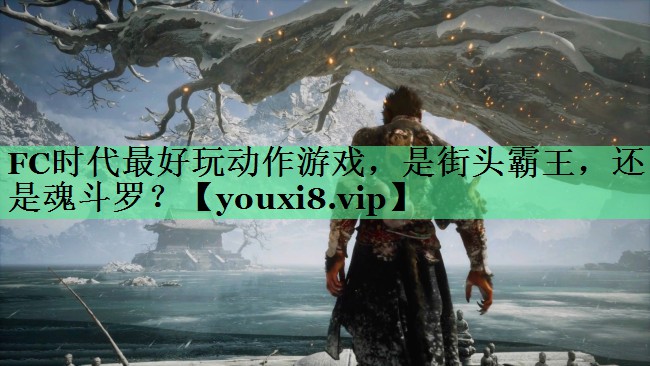 FC时代最好玩动作游戏，是街头霸王，还是魂斗罗？