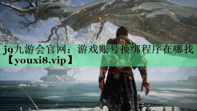 游戏账号换绑程序在哪找