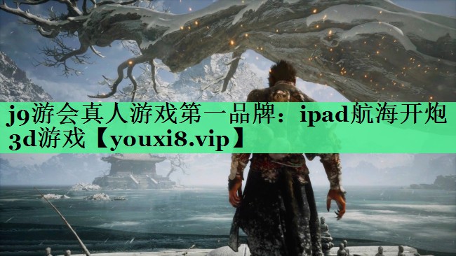 ipad航海开炮3d游戏