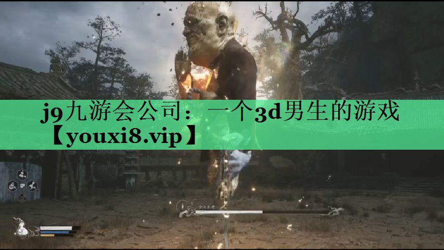 一个3d男生的游戏