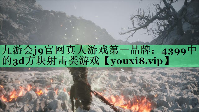 4399中的3d方块射击类游戏