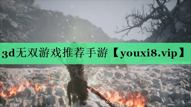 3d无双游戏推荐手游