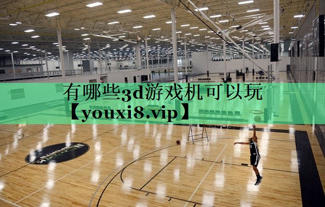 有哪些3d游戏机可以玩