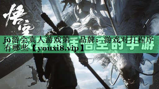 游戏对打程序有哪些